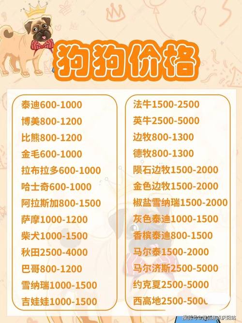 小博美多少钱一只-小博美多少钱一只啊-第7张图片 小博美多少钱一只-小博美多少钱一只啊-第7张图片